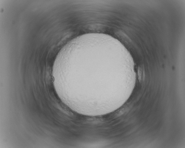 X0000060781107200512082051