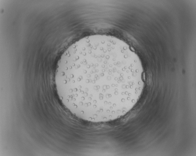 X0000060781108200512082051