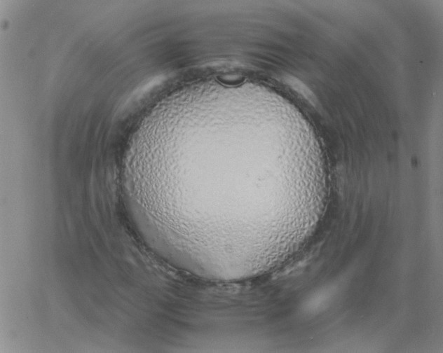 X0000060781111200512082052