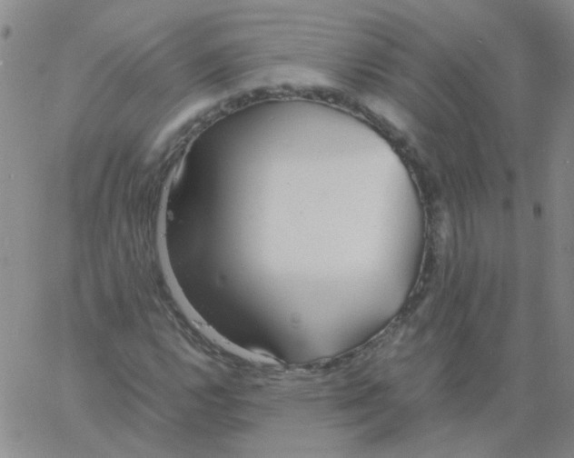 X0000060781112200512082052