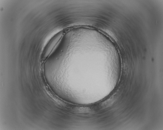 X0000060781119200512082052