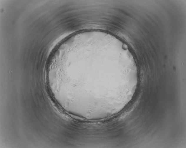 X0000060781125200512082052