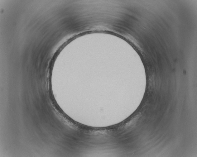 X0000060781126200512082052