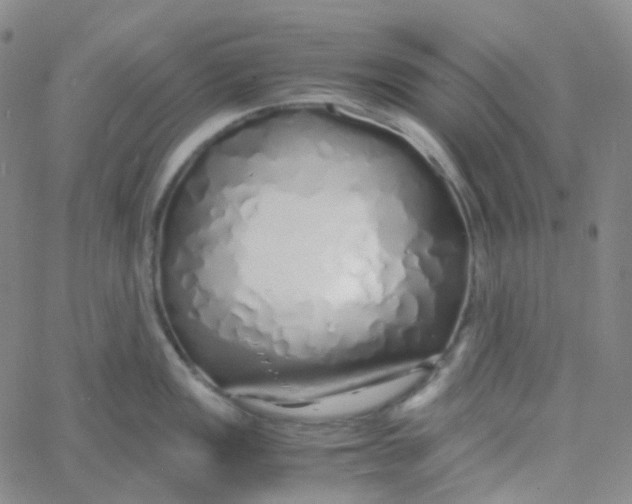 X0000060781149200512082052
