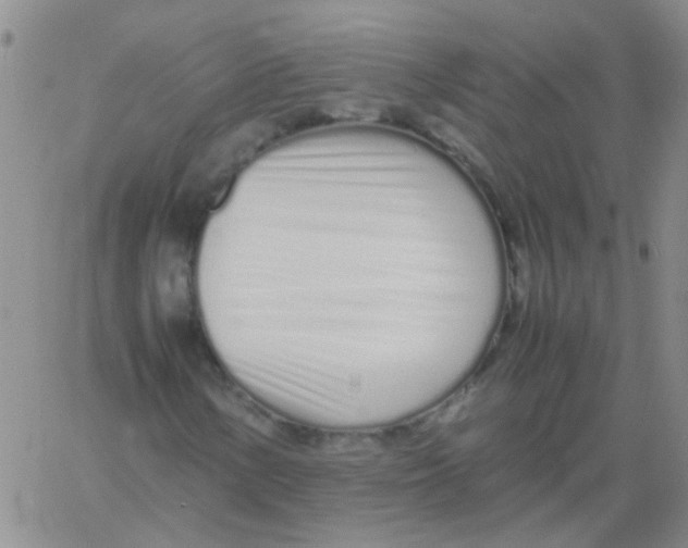 X0000060781154200512082051