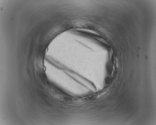 X0000060781155200512082051