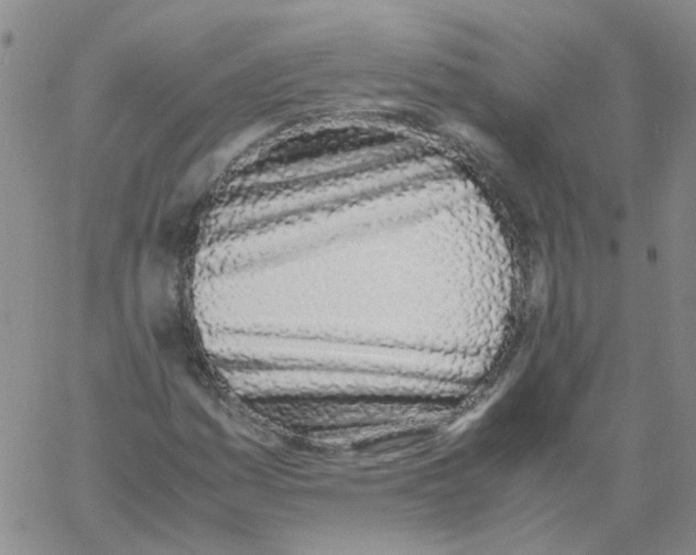 X0000060781161200512082051