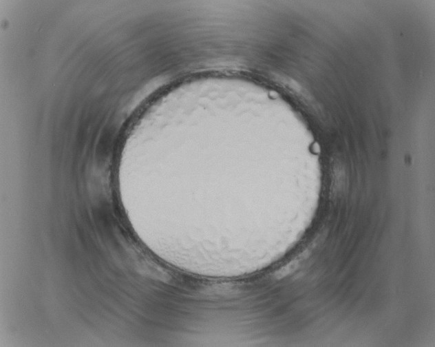 X0000060781162200512082051