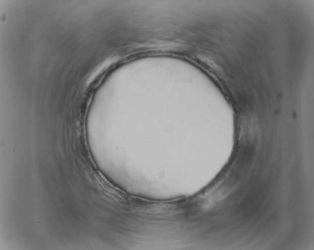 X0000060781163200512082051