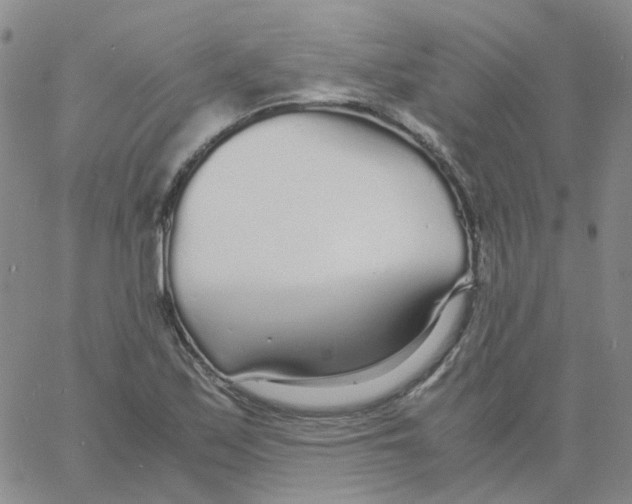 X0000060781171200512082051