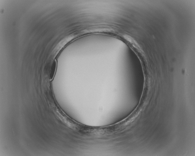 X0000060781177200512082051