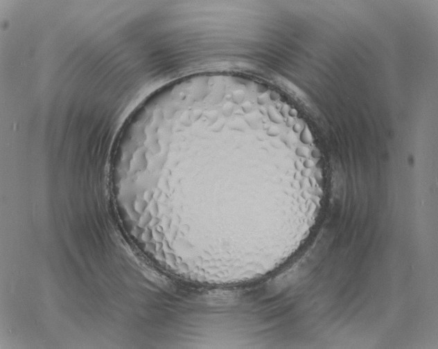 X0000060781178200512082051