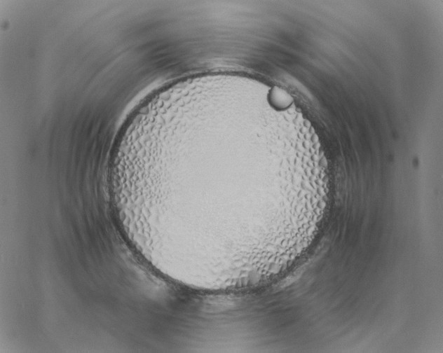 X0000060781182200512082051