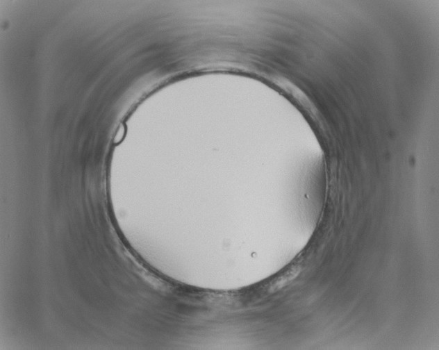 X0000060781191200512082051