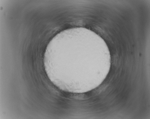 X0000060781201200512082050