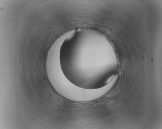 X0000060781202200512082050