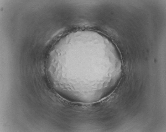 X0000060781205200512082050