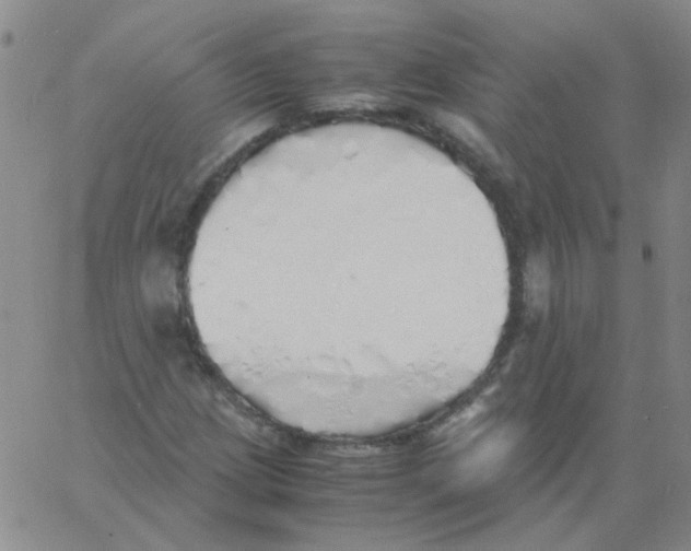 X0000060781209200512082050