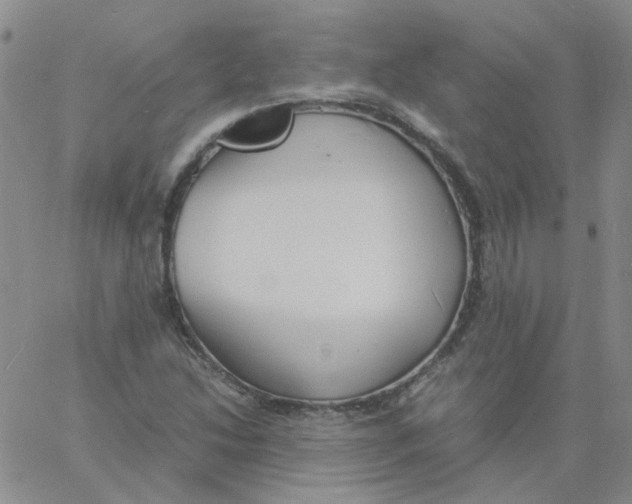 X0000060781214200512082050