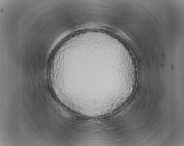 X0000060781216200512082050