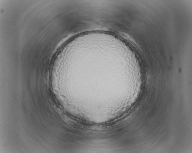 X0000060781220200512082050