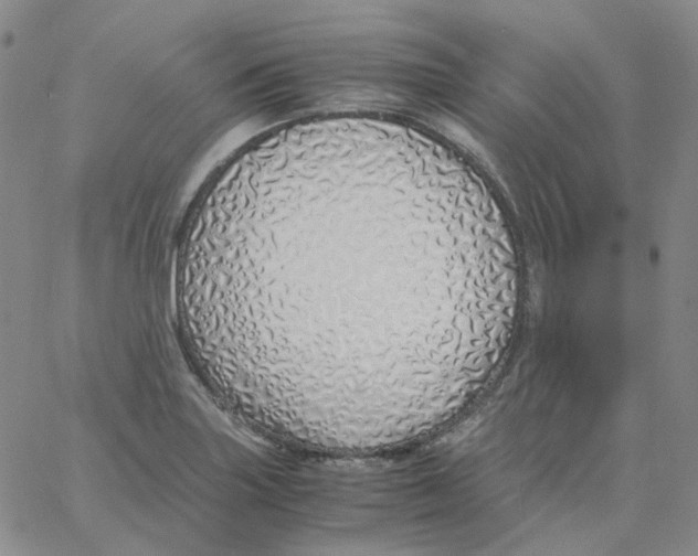 X0000060781227200512082050