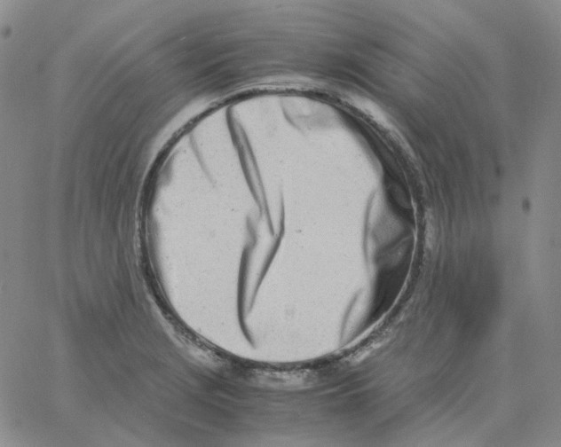 X0000060781229200512082050