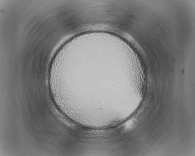 X0000060781232200512082050