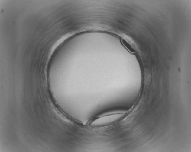 X0000060781238200512082050