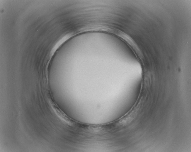 X0000060781242200512082051