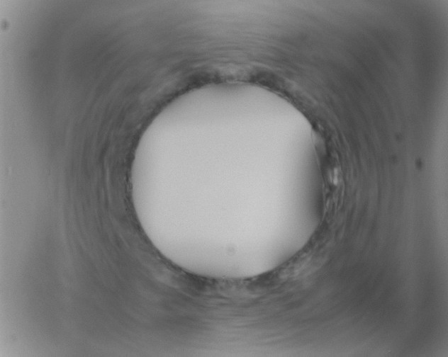 X0000060781249200512082050