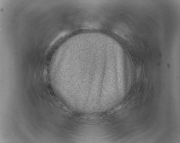 X0000060781254200512082050