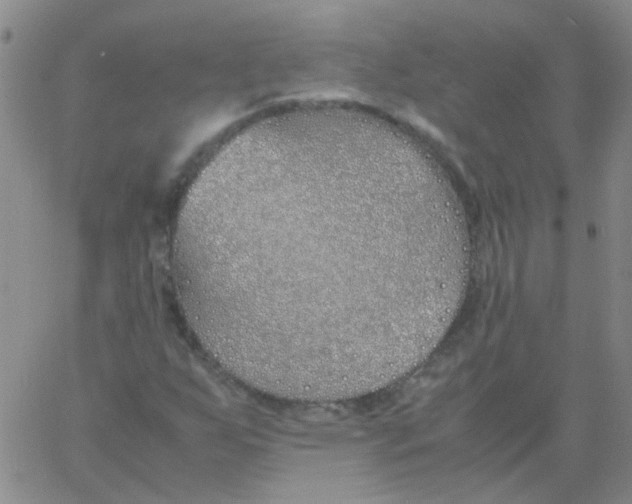X0000060781255200512082050