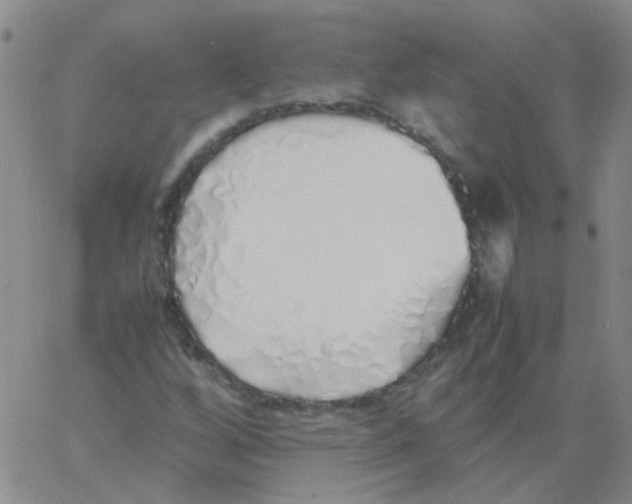X0000060781256200512082050