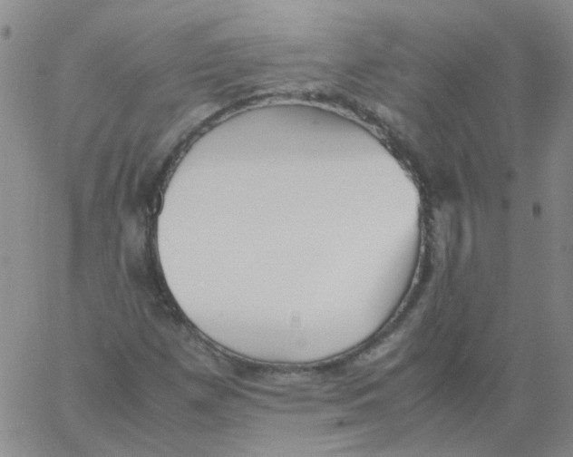 X0000060781257200512082050