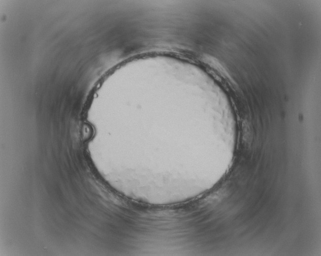 X0000060781260200512082050