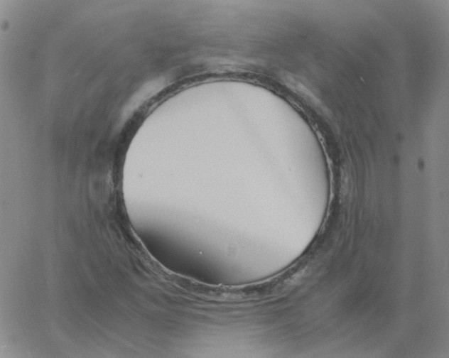 X0000060781261200512082050