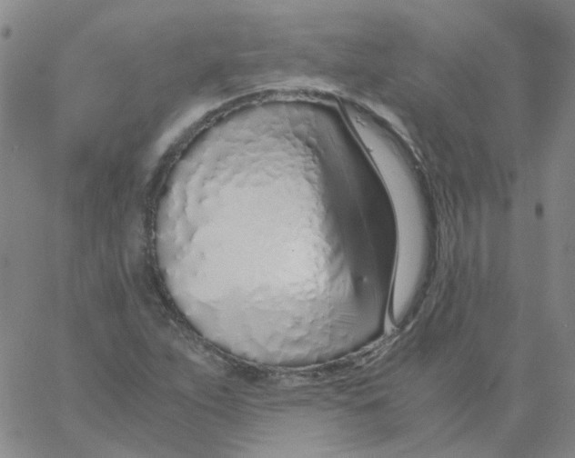 X0000060781263200512082050