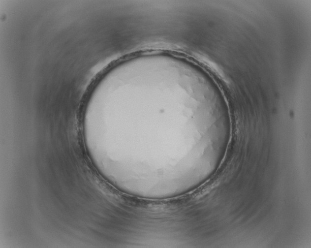 X0000060781264200512082050