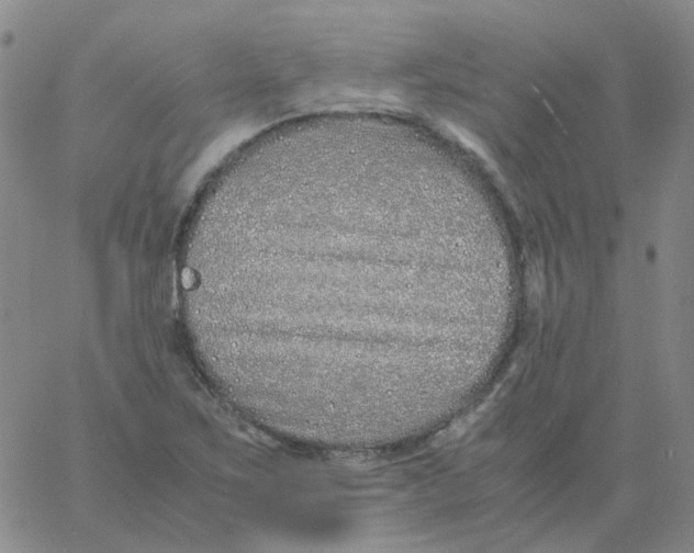 X0000060781267200512082050