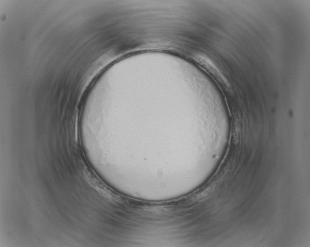X0000060781276200512082049