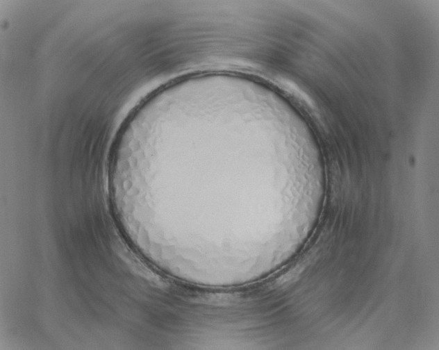 X0000060781280200512082049