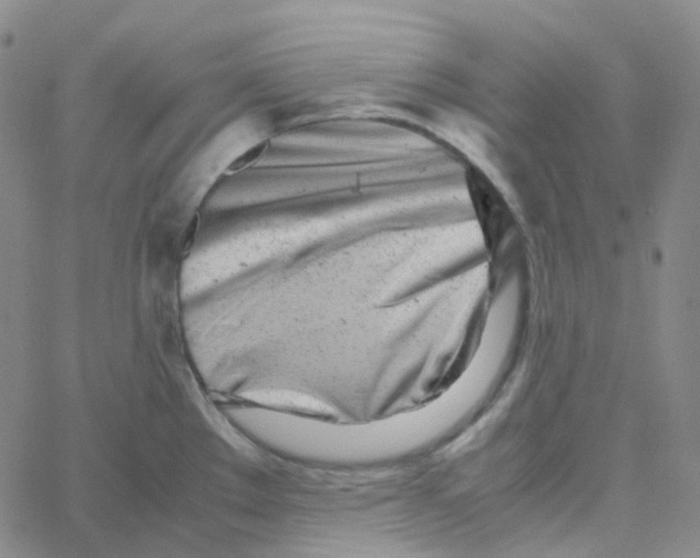 X0000060781289200512082049