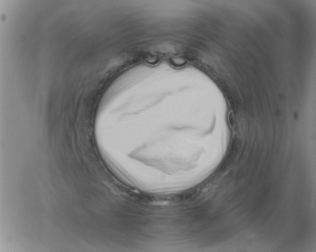 X0000060781297200512082048