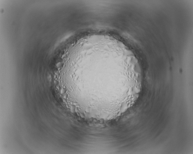 X0000060781302200512082048