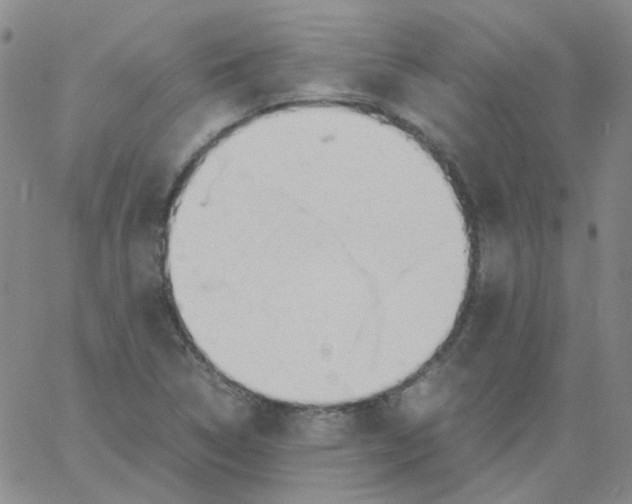 X0000060781314200512082049