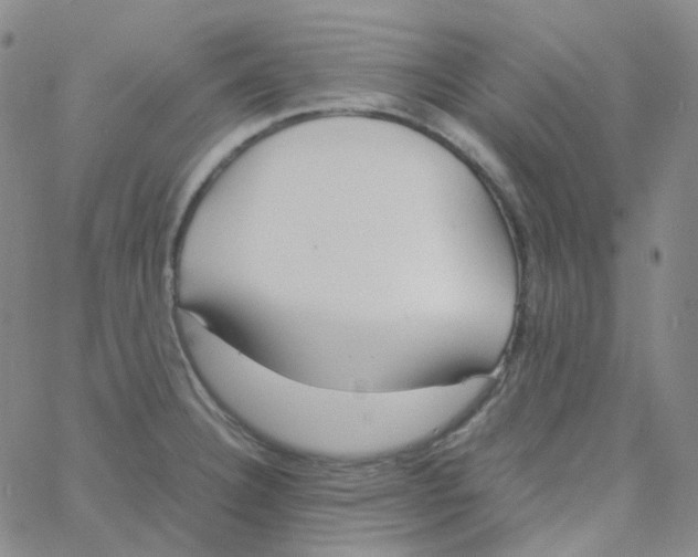 X0000060781332200512082049