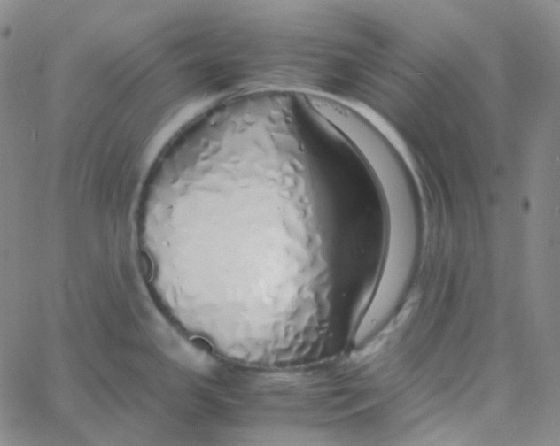 X0000060781341200512082049
