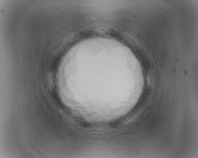 X0000060781347200512082048