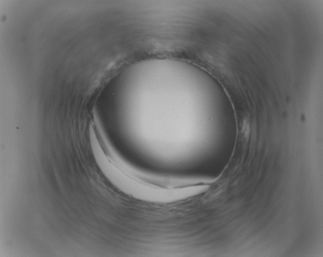 X0000060781348200512082048